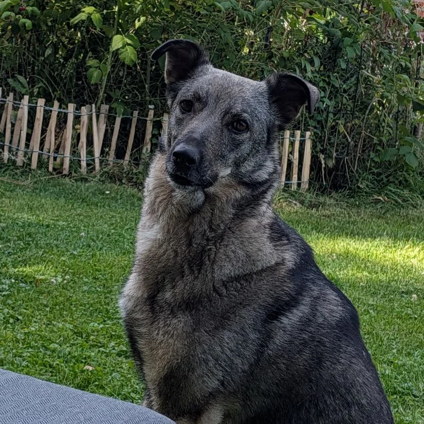 Benny