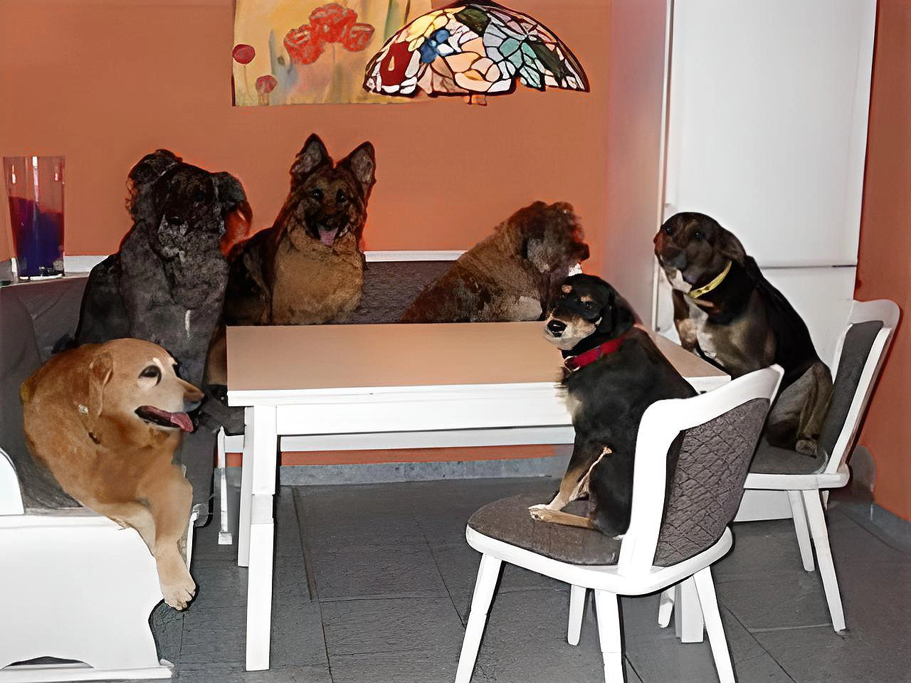 hunde am tisch